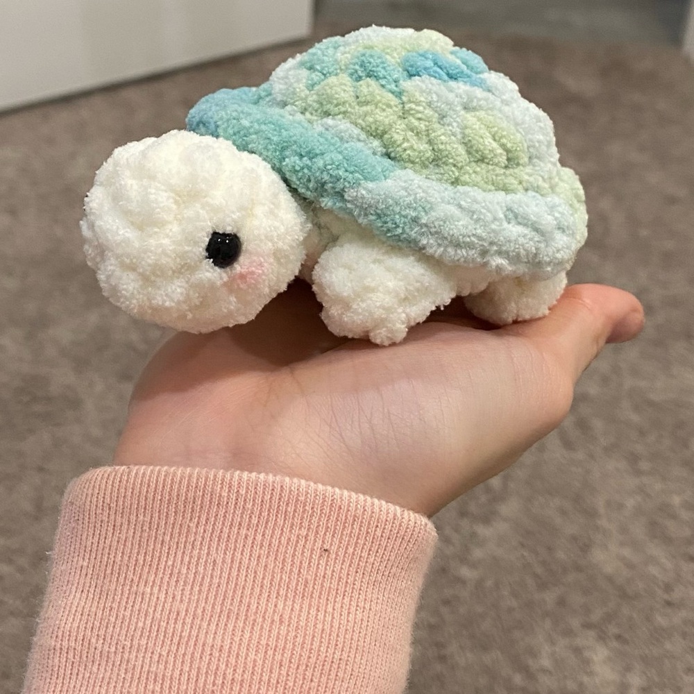 Small turquoise turtle